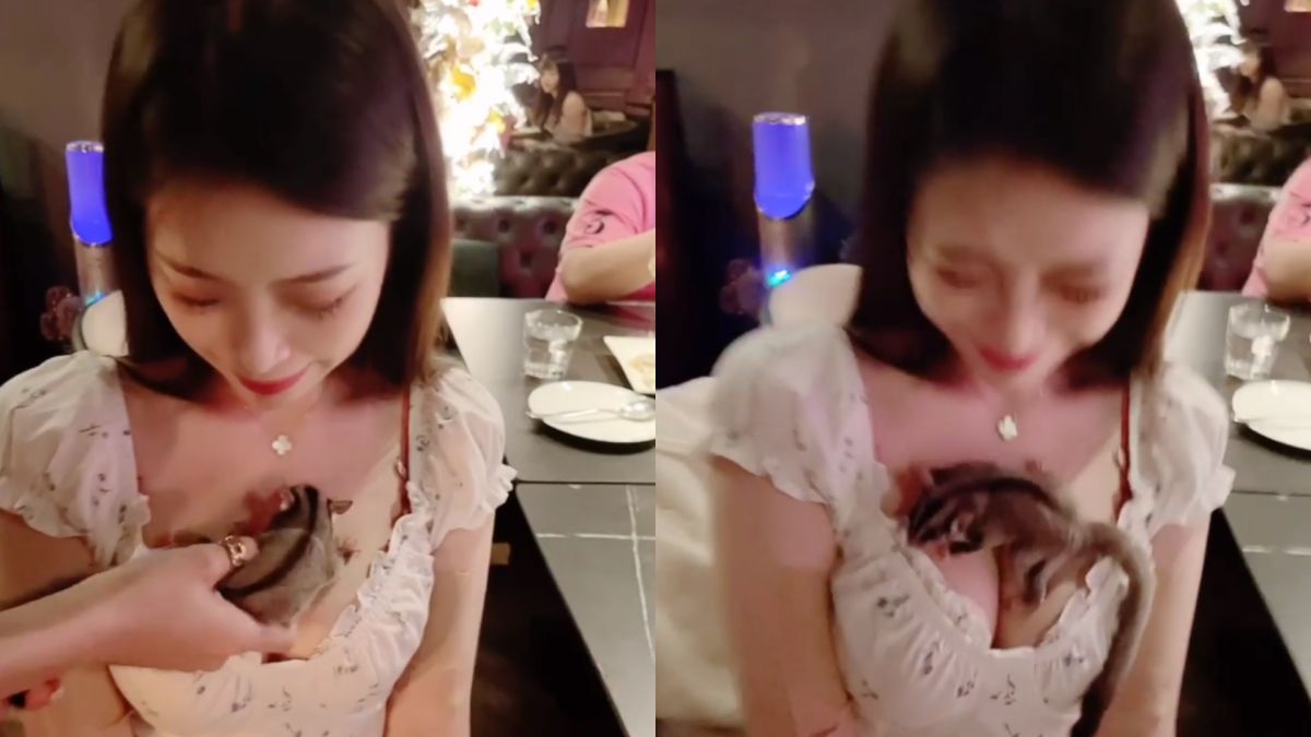 ▲Yumi.K與「小萌寵」互動影片，觀看數近20萬。（圖／Yumi.K IG）