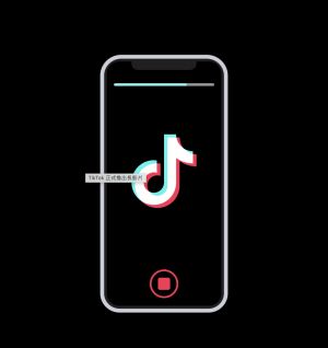 短影音TikTok。(圖/翻攝官網) ▲短影音TikTok。(圖/翻攝官網)