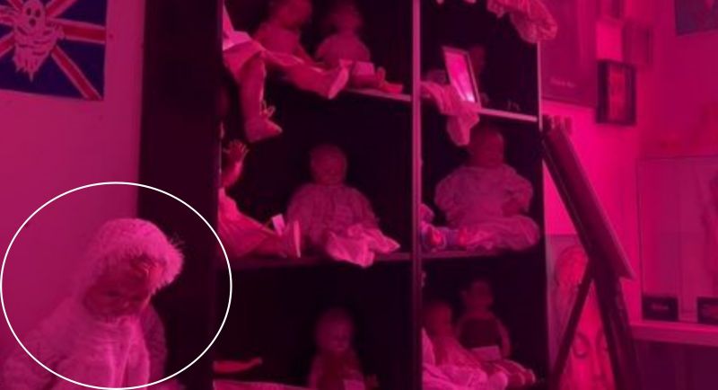 ▲英國1對喜歡收藏玩偶的夫妻，近日在網上公布一段玩偶自行移動的詭異畫面，引發熱議。（圖／翻攝自鏡報）