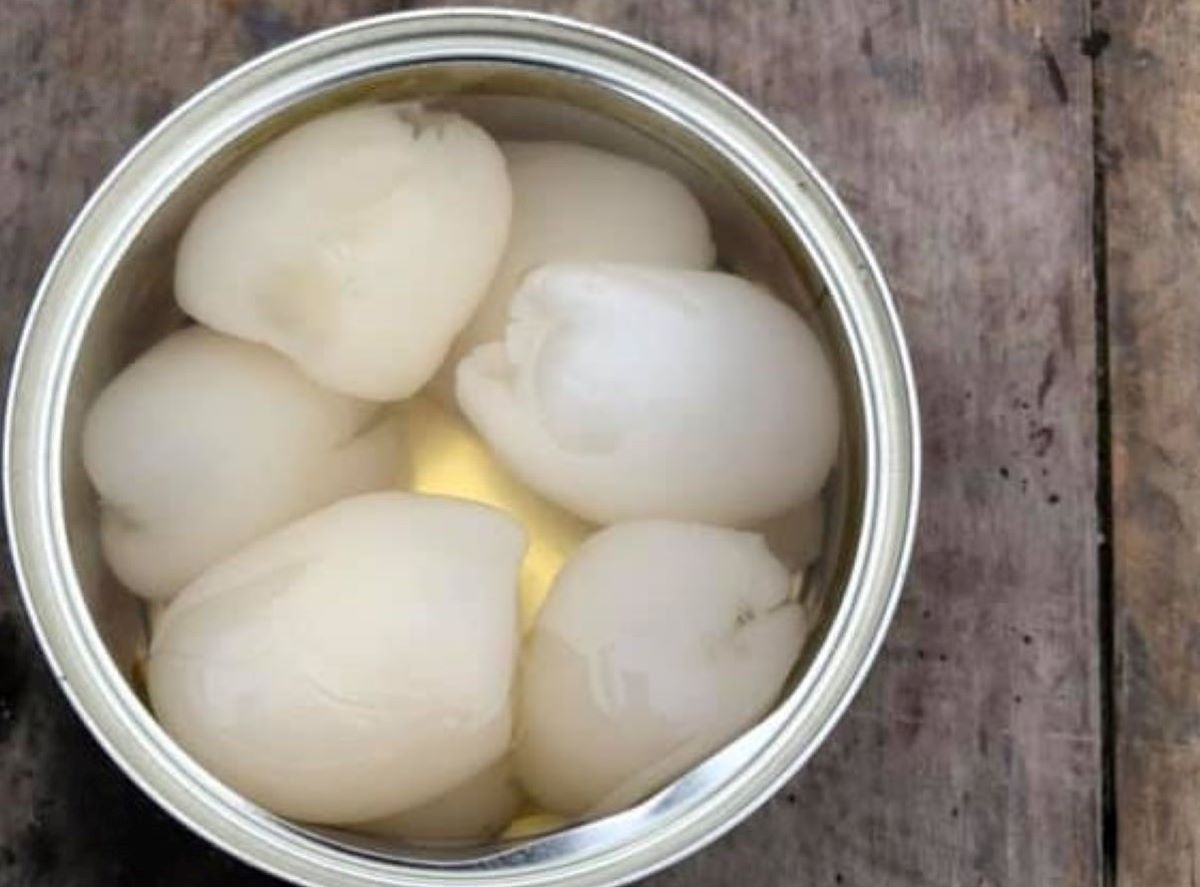 ▲有網友打開罐頭，發現裡面疊了一堆饅頭狀的白色物體，就有行家識貨大讚留言。（圖／翻攝爆廢公社二館臉書）