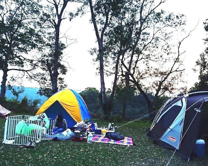 ▲又到露營好時節，達人艾婷分享露營必備小物白花油、頭痛藥及頭燈等。（圖／主辦單位提供）　