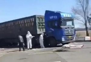 ▲中國東北因防疫進行高速公路管控,大量車輛無法藉交流道閘道離開,只能停在出口處形成長排車龍,也有貨車司機被迫滯留高速公路休息站、被迫吃饅頭充飢。資料照。(圖/美聯社) ▲中國東北因防疫進行高速公路管控,大量車輛無法藉交流道閘道離開,只能停在出口處形成長排車龍,也有貨車司機被迫滯留高速公路休息站、被迫吃饅頭充飢。資料照。(圖/美聯社)