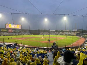 台灣中職開幕戰2日晚間於洲際球場開打,惟因雨勢過大,2局下2出局後裁定保留比賽。 ▲台灣中職開幕戰2日晚間於洲際球場開打,惟因雨勢過大,2局下2出局後裁定保留比賽。(圖/記者黃宣尹攝,2022.04.02)