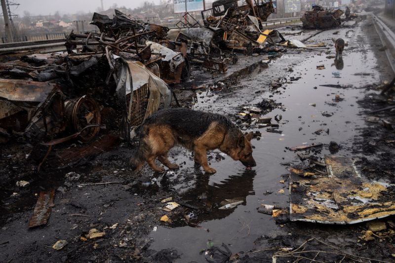 逾300平民遭屠震撼國際　烏克蘭布查鎮現況一次看
