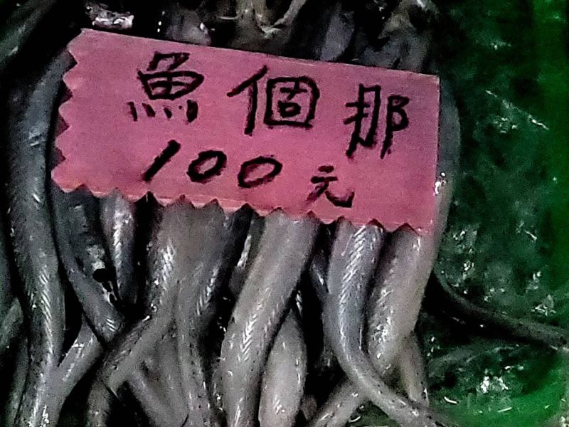 ▲有網友表示，他在東港看到一種魚叫做「那個魚」，讓他好奇問「這到底是什麼魚？」（圖／翻攝自爆廢公社二館）