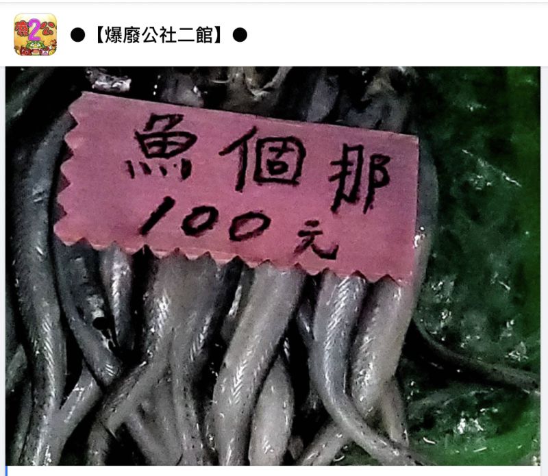 ▲有老饕認出是<strong>小鰭鐮齒魚</strong>，並嗨喊：「這個沾粉炸，灑胡椒鹽好吃！」（圖／翻攝自爆廢公社二館）