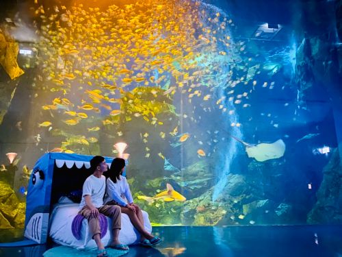 ▲高鐵商圈Xpark水族館成為北部民眾假日購物與親子出遊的首選。（圖／記者蕭涵云攝）