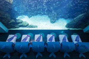▲參加「Blu Night宿海奇遇」能睡在「福爾摩沙」大水缸前，享受真正海景第一排的景致。（圖／COZZI Blu和逸飯店桃園館提供）