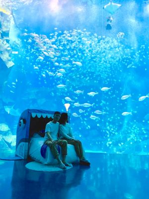 ▲「福爾摩沙」大水缸以描繪台灣東海岸的海底風情，讓探險家們欣賞著魚群優游入睡。（圖／記者蕭涵云攝）