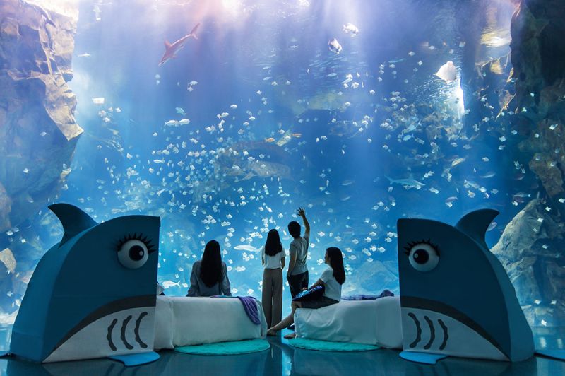 ▲「福爾摩沙」熱門眠區觀賞夜之海美景。（圖／COZZI Blu和逸飯店桃園館提供）