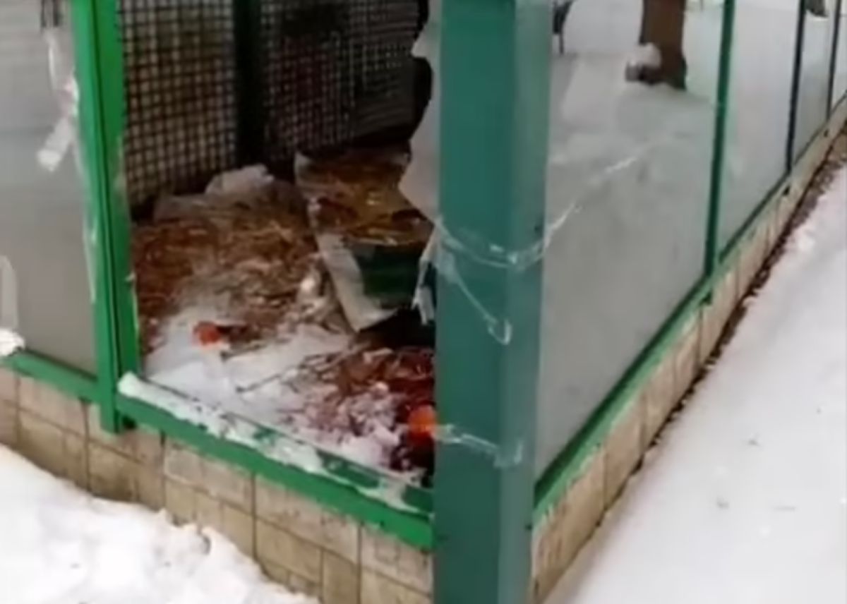 ▲烏克蘭哈爾科夫的「Feldman Ecopark」生態園，因為戰火摧殘，大部分設備都已經被破壞，包含原本關著動物的設施。（圖／翻攝自每日郵報）