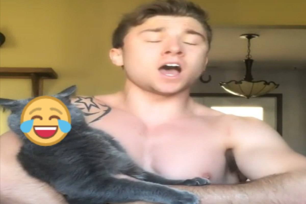▲國外一名男子抱著灰貓唱歌，讓貓咪瞬間傻眼！（圖／TikTok帳號garett__nolan）