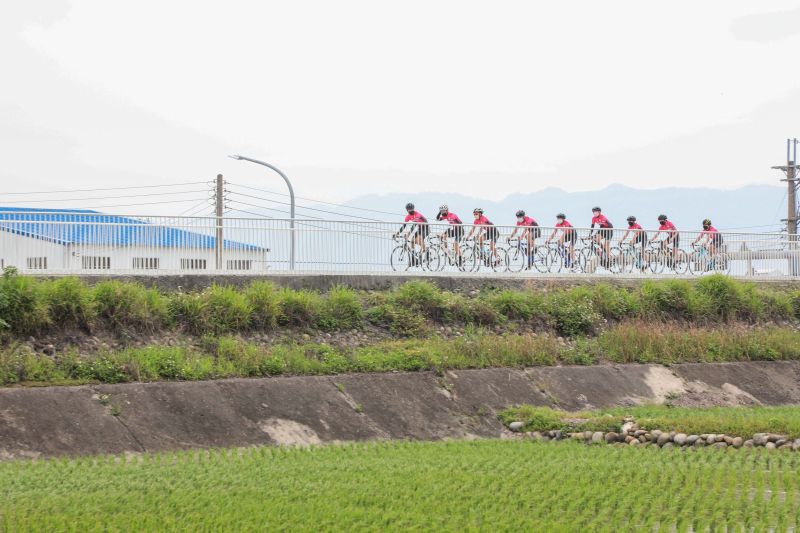 台中海線秘境新景點　稻田中的自行車道
