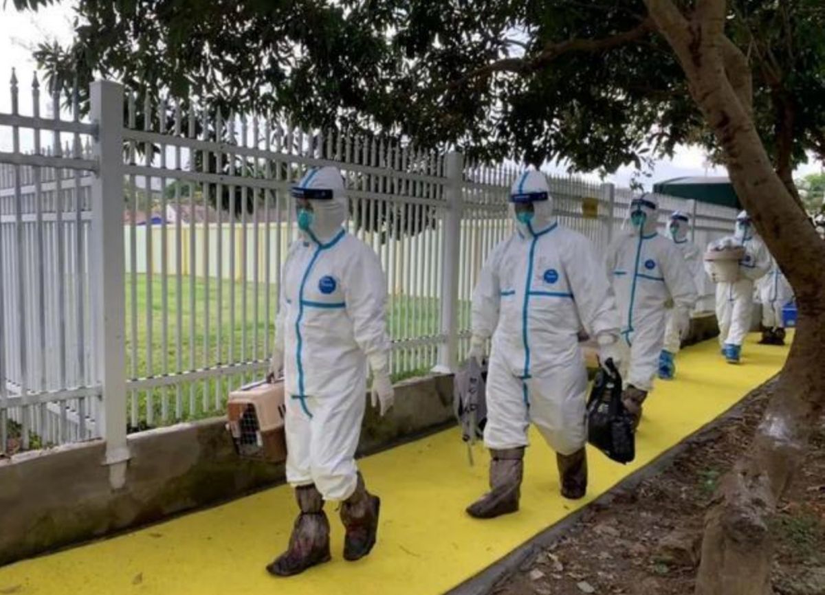 ▲深圳為集中隔離者提供寵物免費託管服務，甚至成立「寵物方艙」。（圖／翻攝自微博）