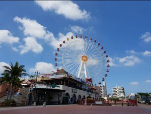 ▲美國村摩天輪已經成為絕景。（圖／翻攝爆廢公社）