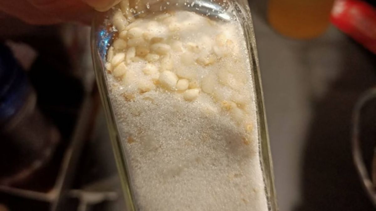 ▲隔壁桌客人認為放在鹽巴罐裡面的是蒜頭，讓原PO聽到後笑到不行。（圖／爆廢公社公開版）