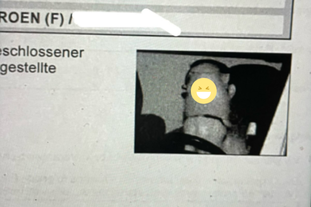 ▲德國一名駕駛收到超速罰單，照片上的「駕駛員」竟讓所有網友都笑翻了！（圖／翻攝自《The Dodo》）