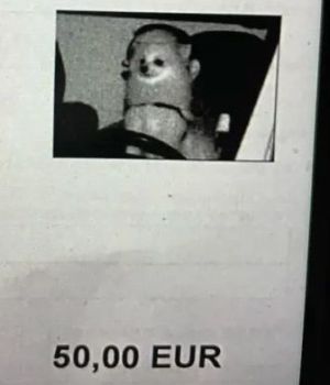 ▲博美犬：本汪沒有50歐元啊！（圖／翻攝自《The Dodo》）