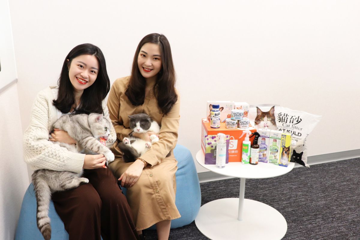 ▲看準「國際寵物日」毛經濟商機，蝦皮購物即日起至4/12，祭出寵物用品下殺最低5折優惠，曝光「5時段」狂撒1折神券，最高可以現折100元！（圖／蝦皮購物提供）