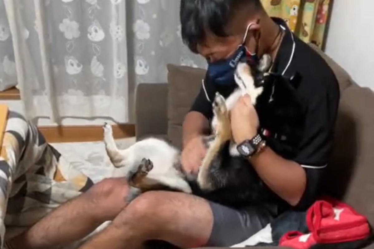 ▲時隔8個月才和外派的男主人見面，黑柴情緒戲劇性堆疊，開心到不行。（圖／Twitter：69MyB2fZZgAPePN）