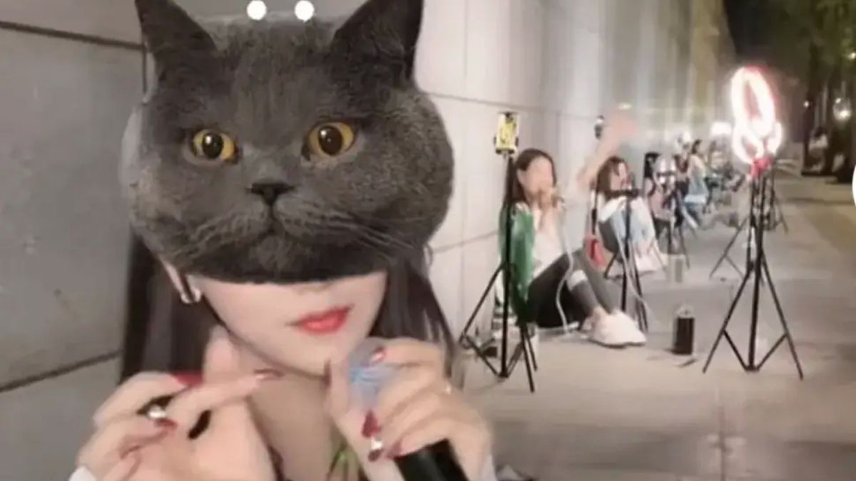 ▲中國桂林的天橋下，近年來被稱為「網紅一條街」，月收入高達20萬人民幣，引發民怨。（圖／翻攝微博《趴圈有魚》）