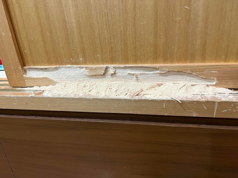 ▲網友家中和室門常發出蟲的啃咬聲，狀況持續長達3年。（圖／翻攝爆系知識家臉書）