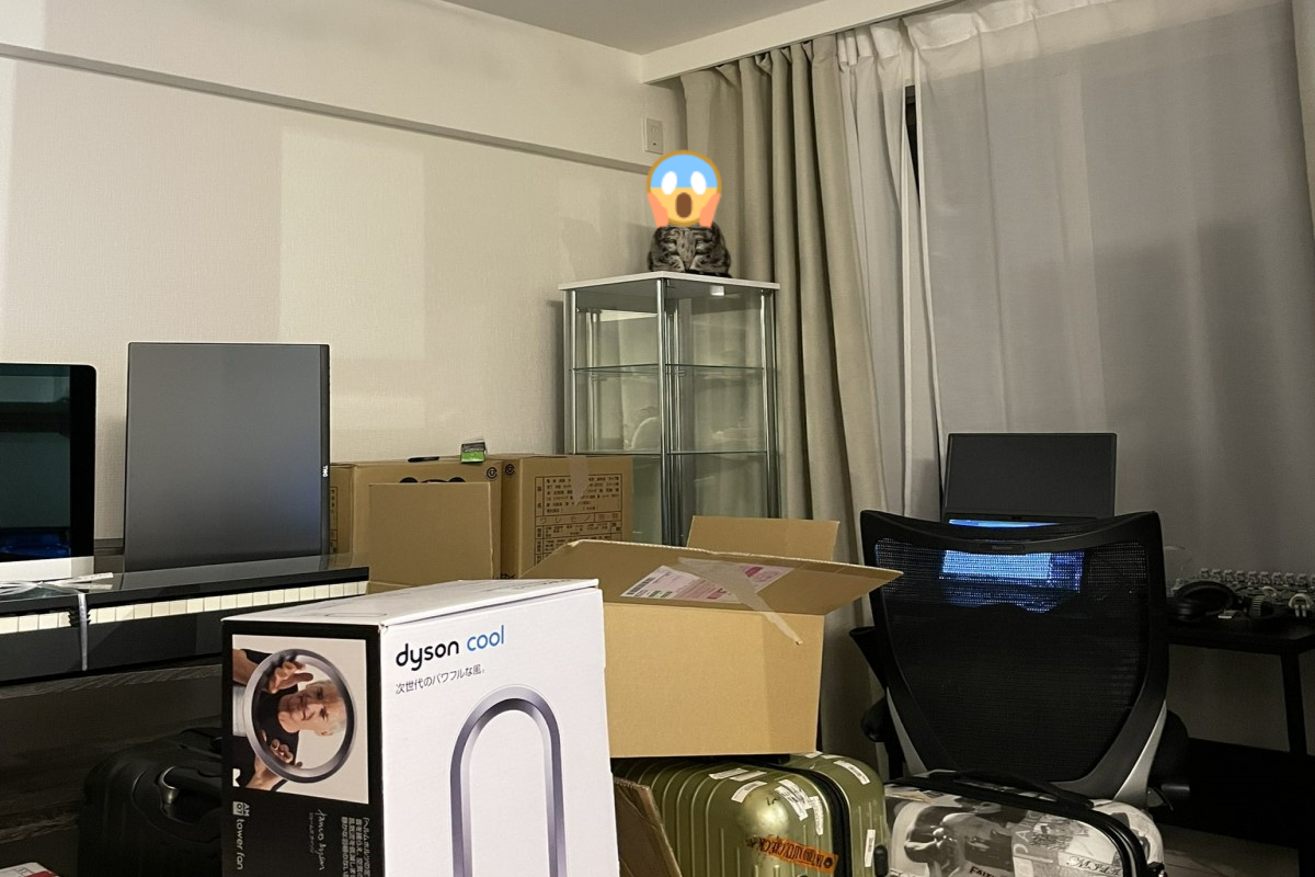 ▲日本一名飼主近日搬家，撤走貓跳台後竟然引起貓皇不悅！（圖／推特帳號zawakoz）