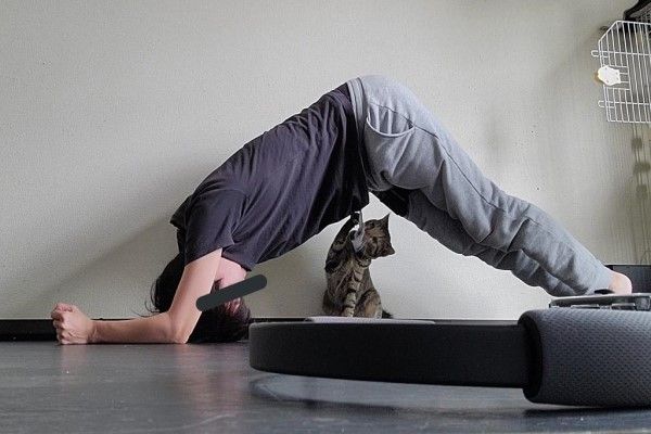 ▲後來飼主放棄健身環,改在地板上練習核心時,Shipi又來「監督」。(圖/推特帳號chipie0826)