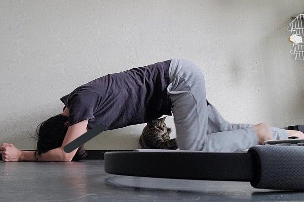 ▲Shipi:欸欸,你的腿位置不對啦!(圖/推特帳號chipie0826)