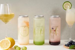 時尚與傳統激盪火花 「望好飲」與國產材跨域結盟 ▲主打健康氣泡飲的「望好飲」,是一個水果氣泡飲與藝文融合空間,時尚舒適,適合三五好友聚會。(圖/望好飲提供)