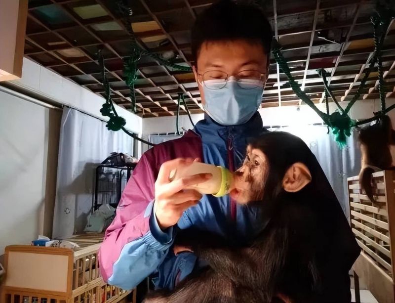 封控逾1個月！上海動物園自成「小社區」　5千動物未挨餓
