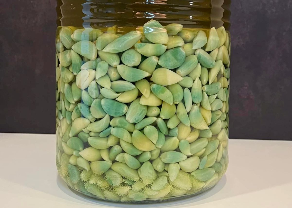 ▲近日有網友發現女友以醋醃製一桶蒜頭，但色澤卻呈現綠色，讓他十分震驚。照片曝光後，也引來老饕們大讚是極品。（圖／網友授權提供）