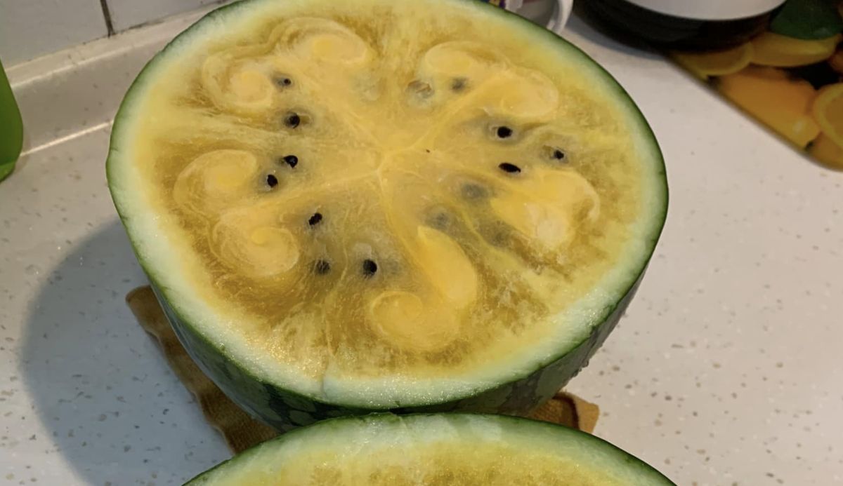 ▲一名網友在好市多買西瓜後，帶回家發現裡頭果肉花紋特殊，模樣十分怪異。（圖／翻攝自臉書社團「COSTCO 好市多 消費經驗分享區」）