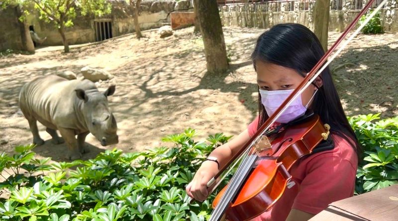 壽山動物「聽見幸福」！首場提琴演奏展新動物園運動
