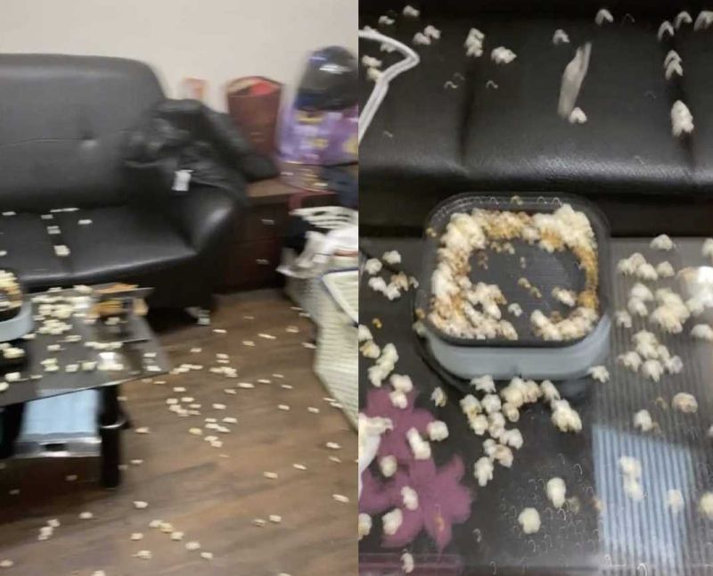 ▲胡漢典分享自己學完阿翰廖麗芳阿姨影片之後，家裡的模樣，讓不少網友笑瘋。（圖/Tik Tok@cheng4fake60）