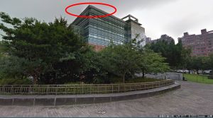 ▲永和的國立台灣圖書館的巨大鳥巢，其實是喜鵲的家，而且越來越大。（圖／我是永和人臉書，民眾授權提供）