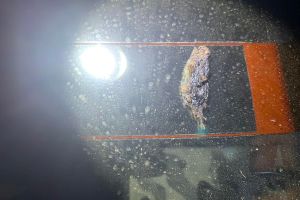 ▲原PO在汽車擋風玻璃上發現一塊形似台灣地圖的鳥大便。（圖／臉書社團《爆廢公社》） 