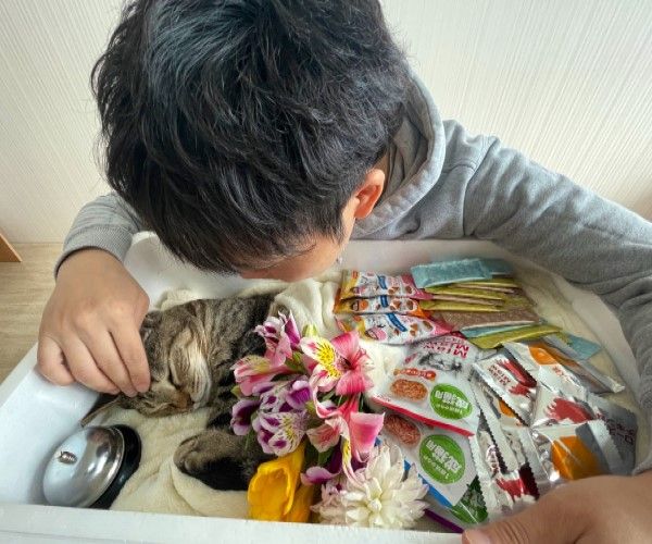 ▲飼主一家人在25日為Beruru送別，除了鮮花以及牠最愛的餐包零食以外，還有牠的「響鈴」。（圖／推特帳號CatNaviDesk）