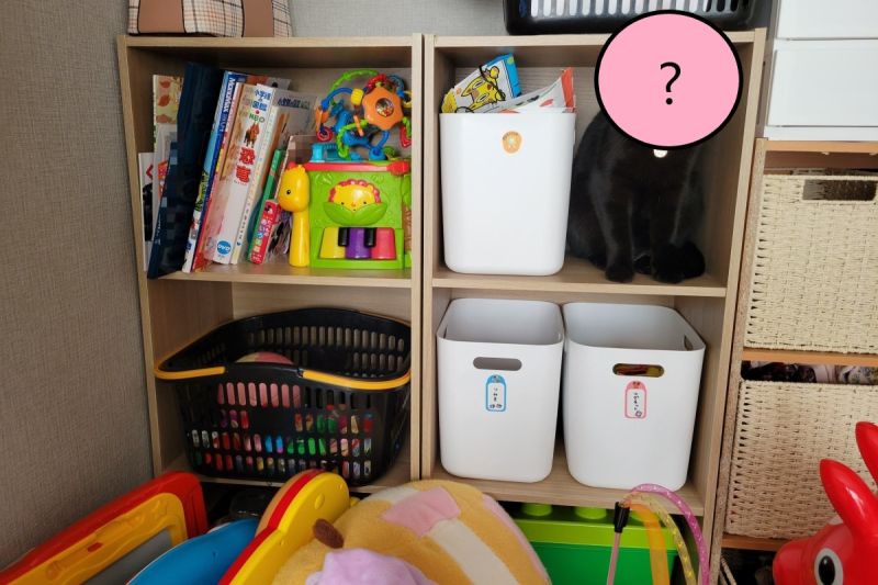 黑貓混入玩具櫃！1歲娃見牠無反應　牠愣：我絨毛玩具？
