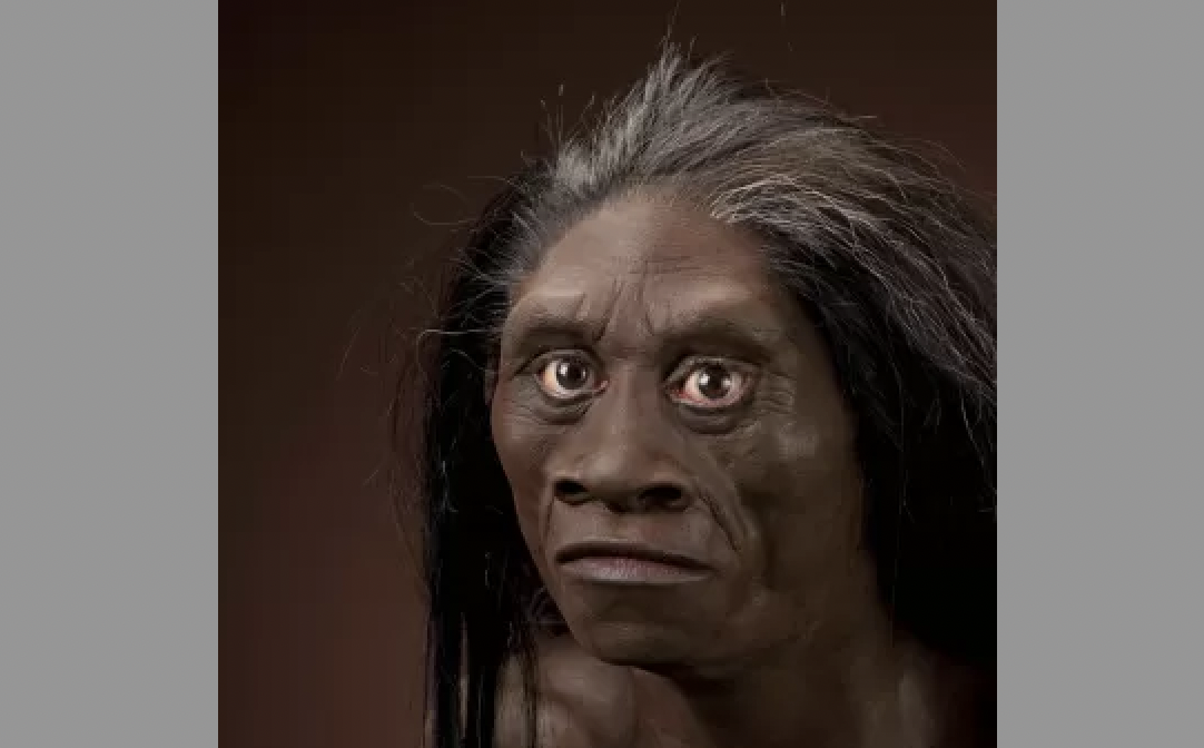 ▲弗洛勒斯人身材矮小，成人平均身高也只有110公分，因此也被稱為「哈比人」。（圖／翻攝自推特）