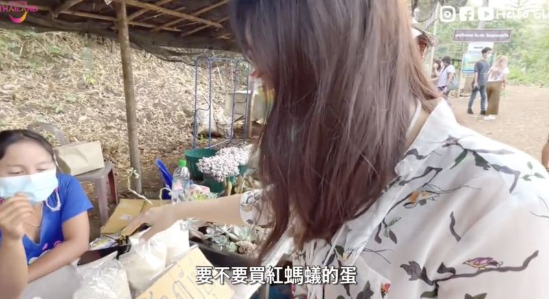 ▲泰國清邁在地人市集有賣「紅螞蟻的蛋」。（圖／翻攝自影片）
