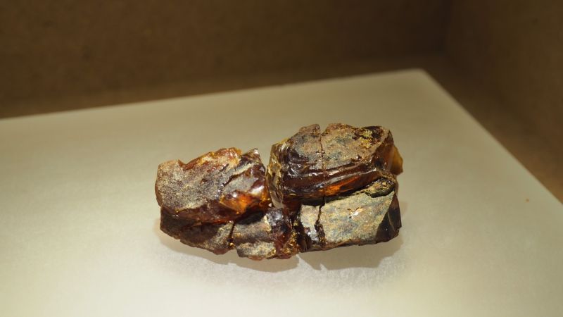 ▲特展集結6件臺灣琥珀標本，圖為臺南東山發現的標本，是臺灣首次發現、也是目前唯一一件琥珀內有生物包埋。（圖／科博館提供）