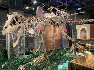 ▲科博館「琥珀的記憶」特展中，展出 一隻身長約9公尺、身高約3公尺的特暴龍全身骨骼標本，超吸睛。（圖／科博館提供）