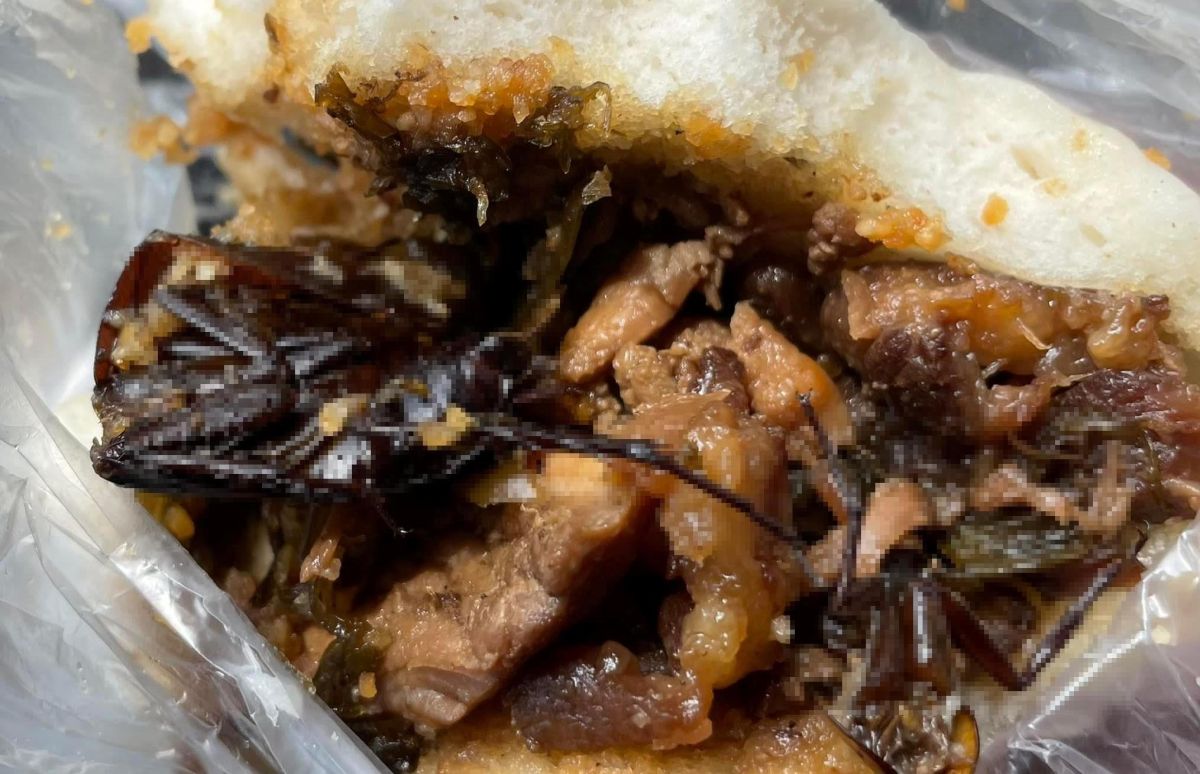 ▲有網友崩潰指出，自己割包吃到一半突然發現，滷肉中竟然夾著蟑螂屍體，對此店家也發文致歉。（圖／翻攝自爆料公社）