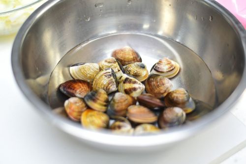 蛤蠣吐沙「加1物」肉更鮮美！名廚公開獨門秘方：冰3週依舊活跳跳
