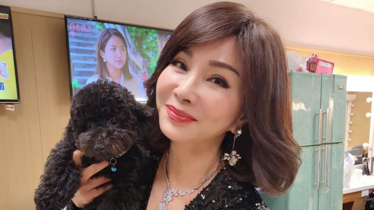 ▲陳美鳳公開身上一部位是假體。（圖／陳美鳳臉書）