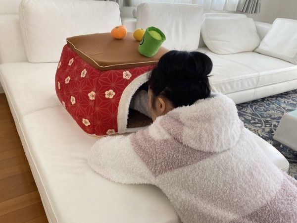 ▲這天她買了一款日式暖桌的貓窩，上頭還有柳丁與抹茶裝飾，相當可愛。（圖／推特帳號fuji_ayako）