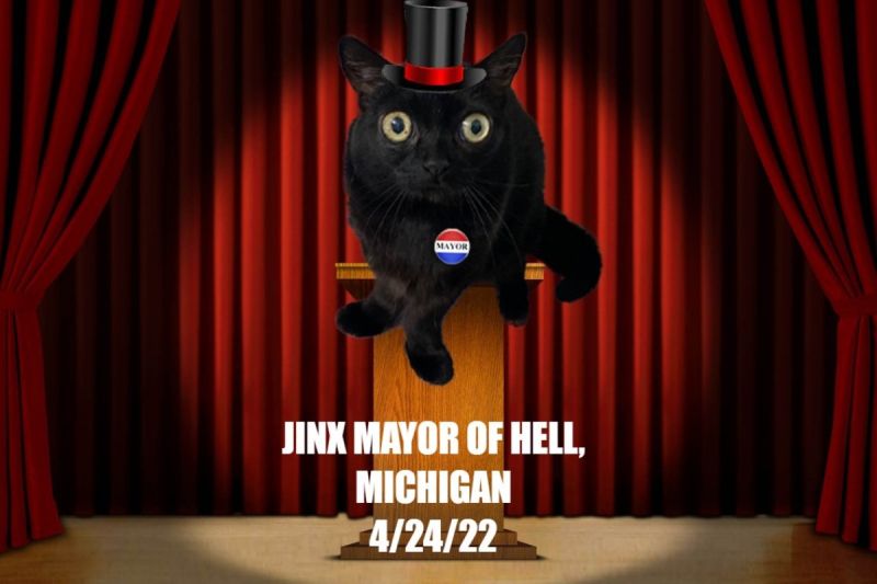 ▲美國一隻黑貓擔任小鎮的「一日鎮長」，受到許多紛絲喜愛。（圖／推特帳號bigfootjinx）