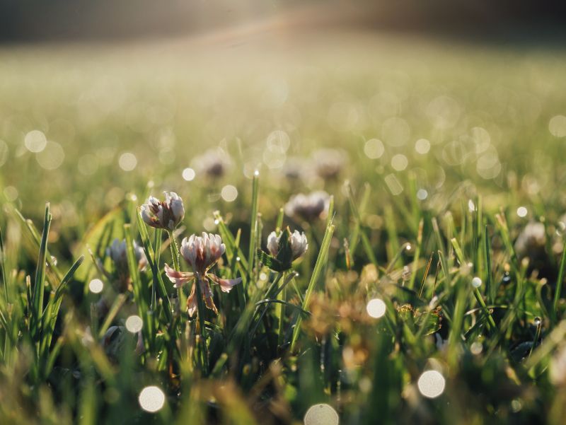 ▲挑選特定吉日修整頭髮，可以讓運勢翻倍。（示意圖／取自unsplash）