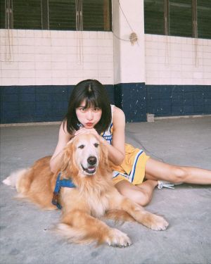 ▲峮峮趴在狗狗身上,美胸意外引起關注。(圖/翻攝峮峮FB) ▲峮峮趴在狗狗身上,美胸意外引起關注。(圖/翻攝峮峮FB)